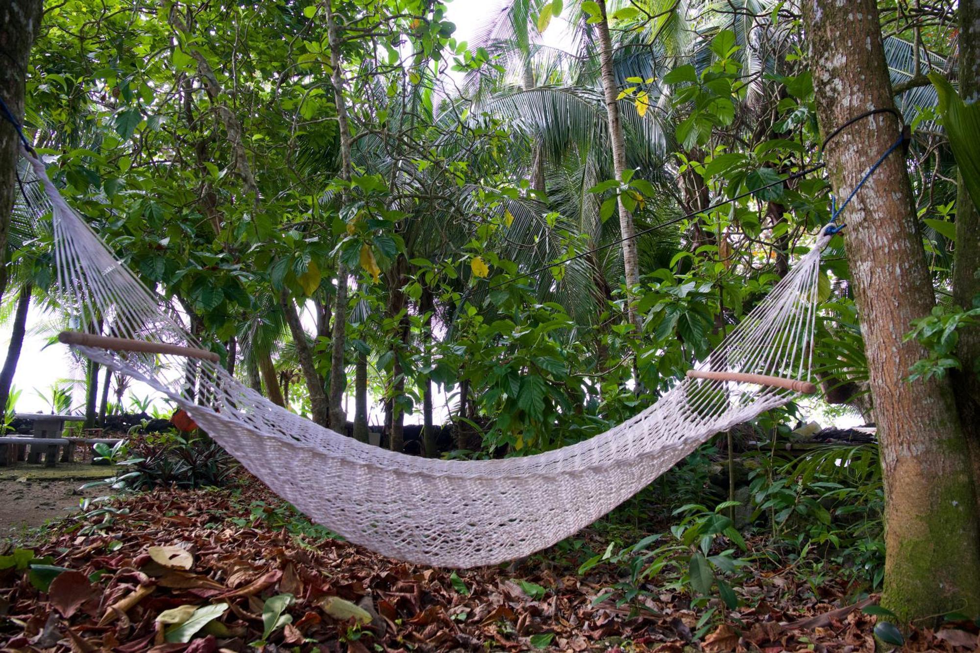 Ostello Casa Mamre Cahuita Esterno foto