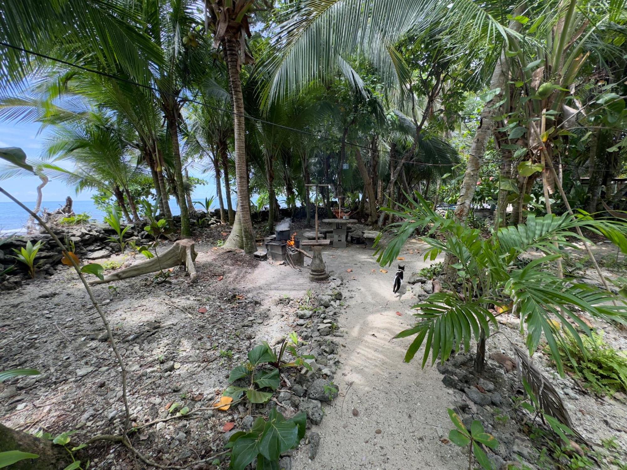 Ostello Casa Mamre Cahuita Esterno foto