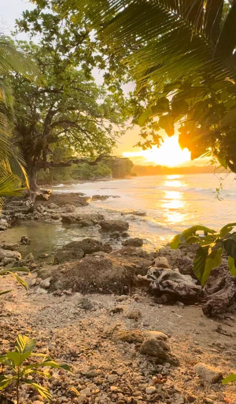 Ostello Casa Mamre Cahuita Esterno foto